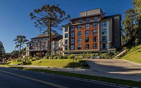 Golden Tulip Canela Oficial